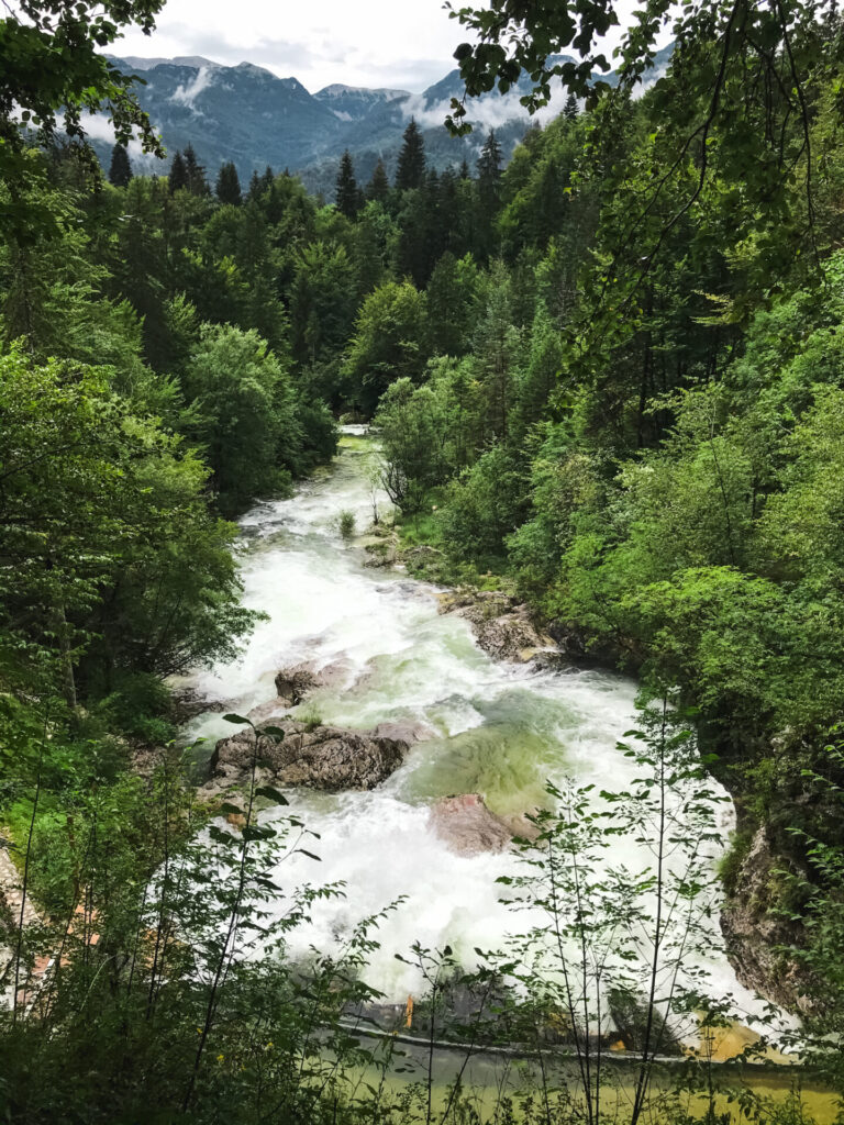 bohinjské jezero korita mostnice