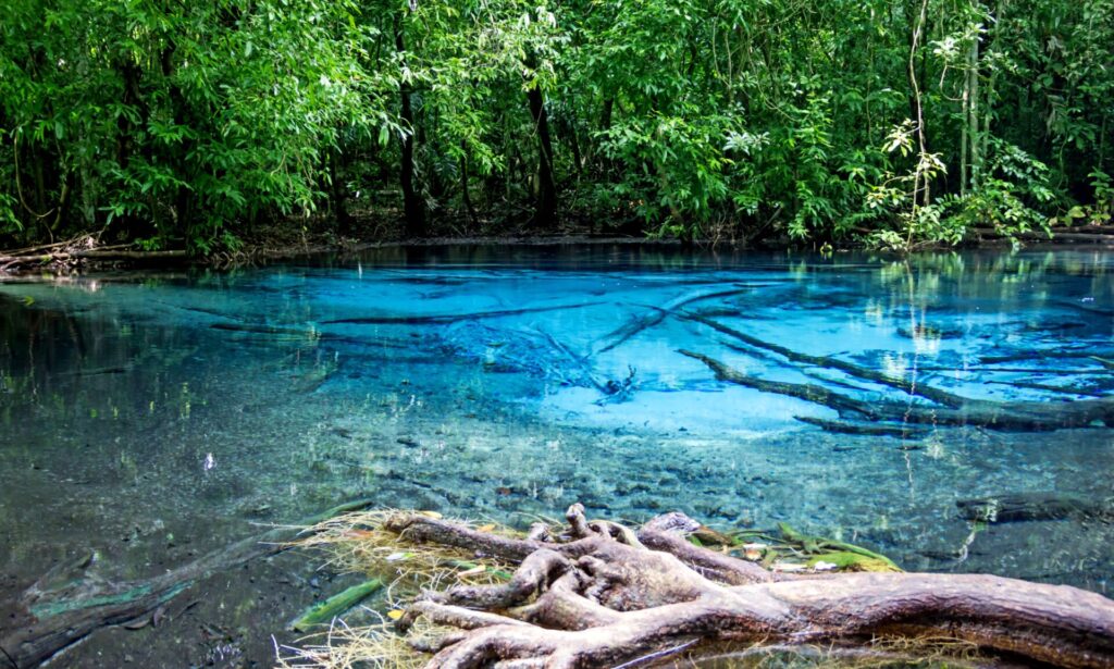 co dělat na krabi emerald pool blue pool