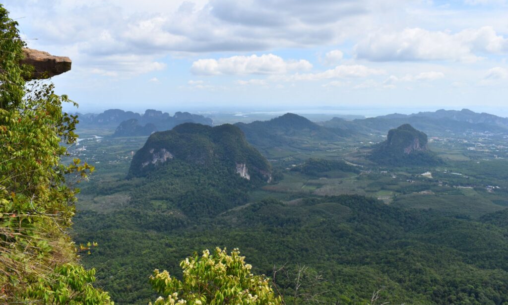 co dělat na krabi dragon crest