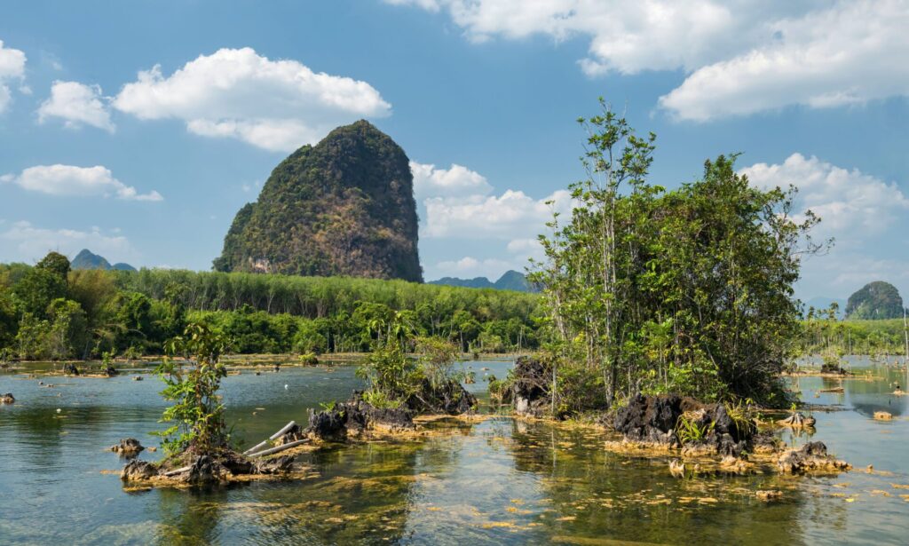 co dělat na krabi kanoe klong root lake