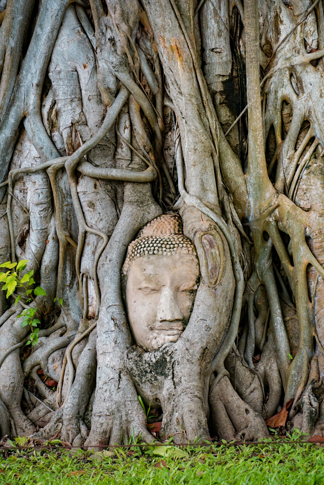 ayutthaya Wat Mahathat
