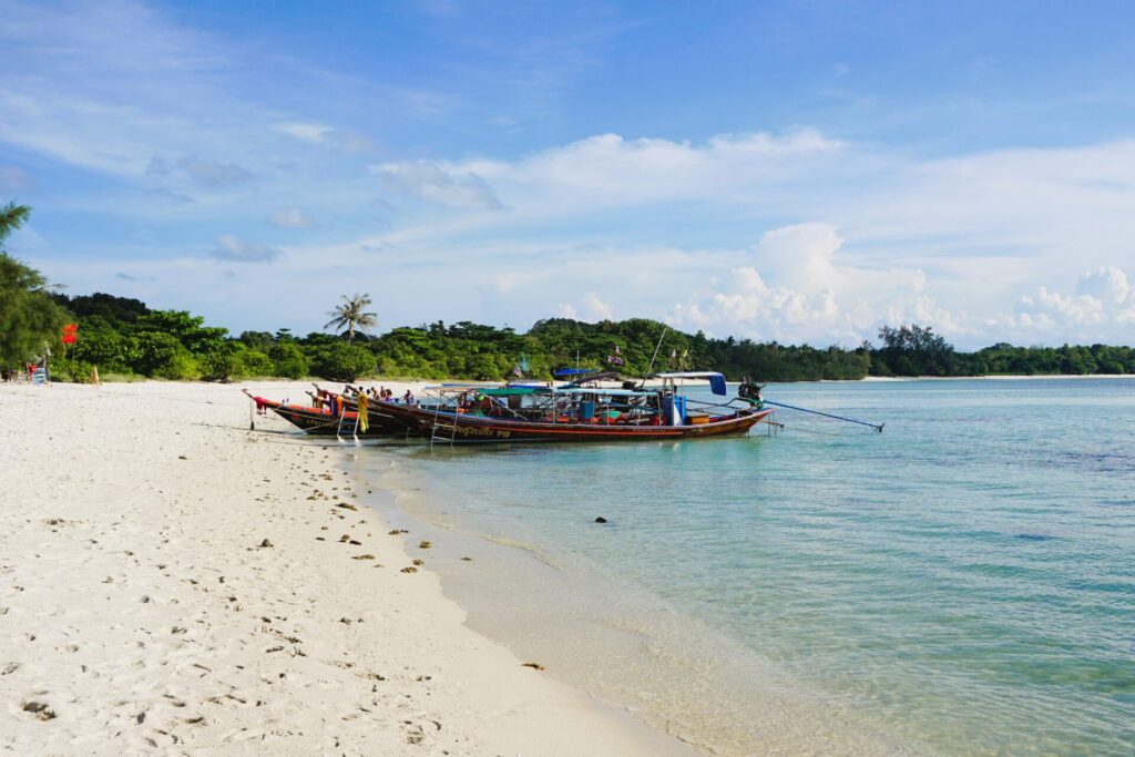 Pig Island Koh Madsum Recenze prasátka koh samui