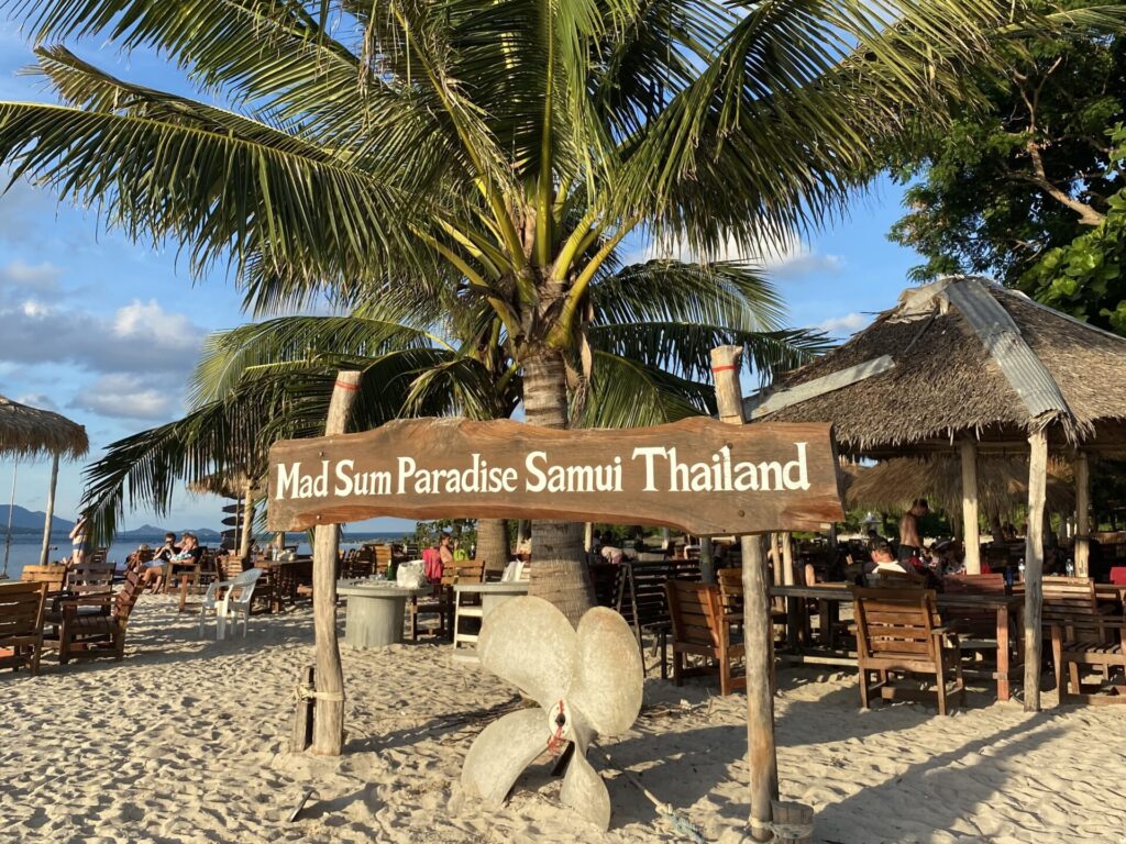 Pig Island Koh Madsum Recenze prasátka koh samui
