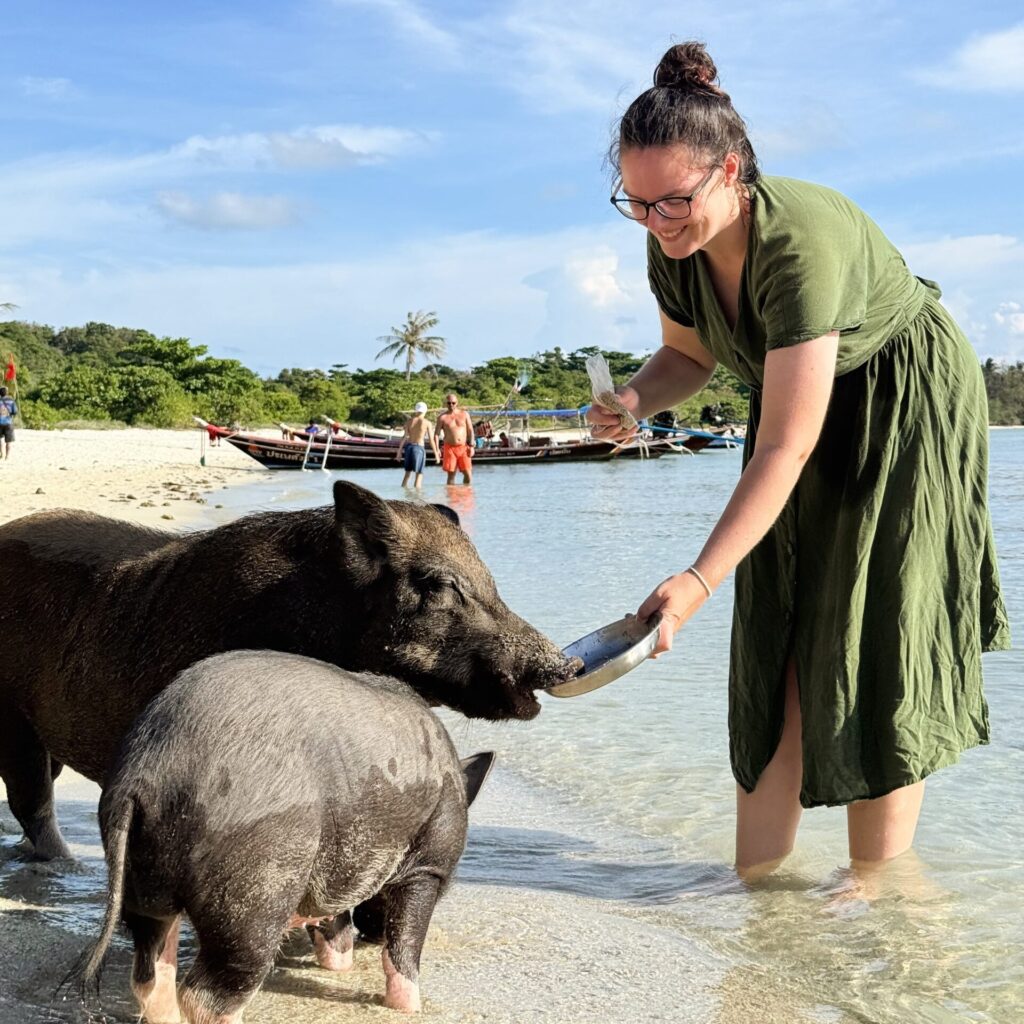 koh samui pig island