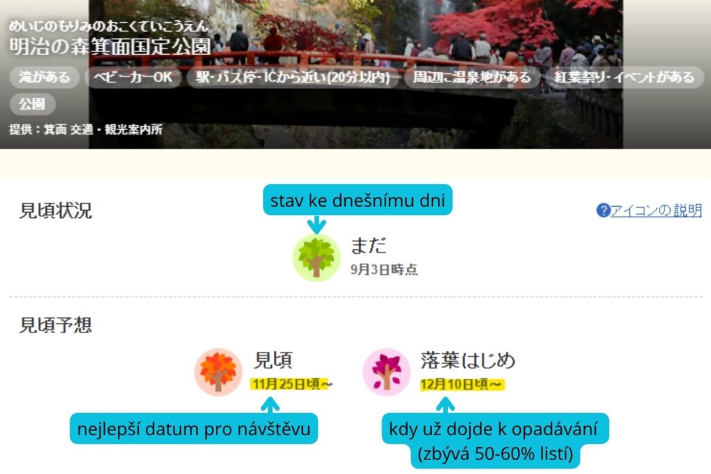 japonsko podzimní listí předpověď