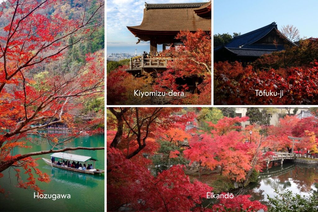 japonsko podzimní listí kyoto kjóto